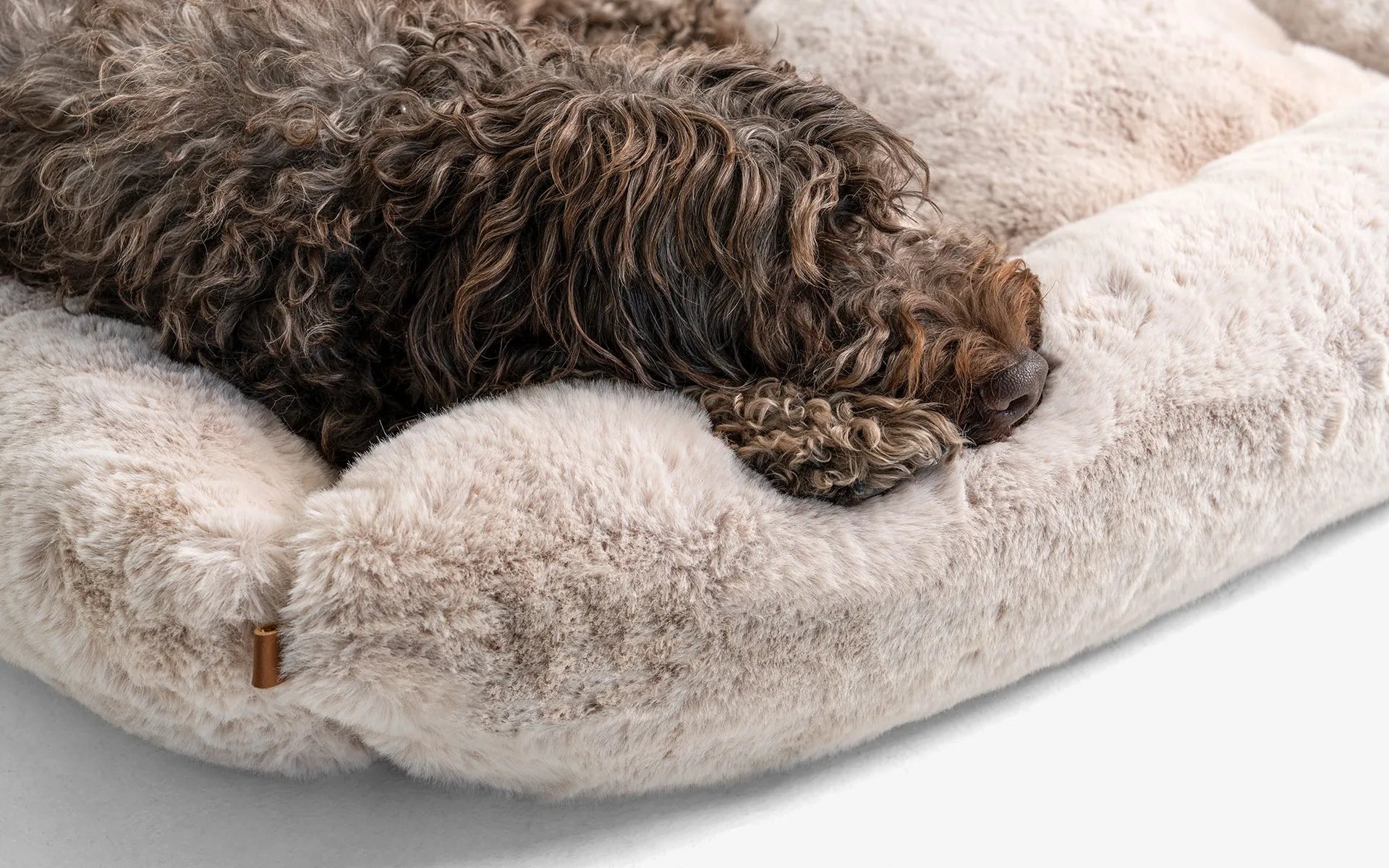Beddo Dog Bed