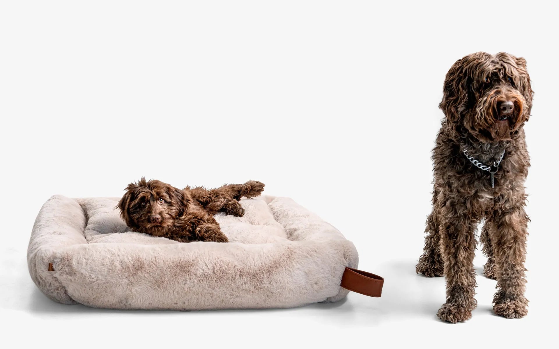 Beddo Dog Bed
