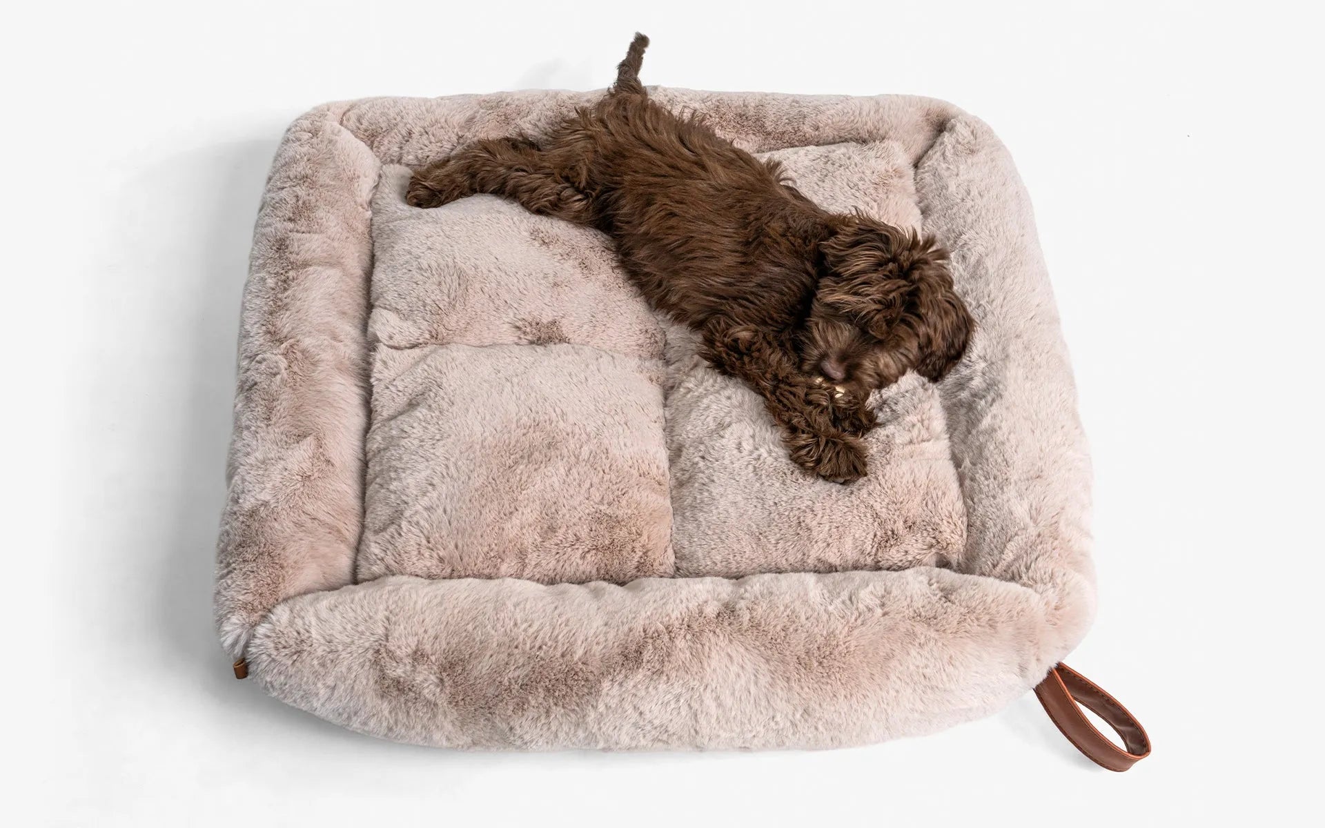 Beddo Dog Bed