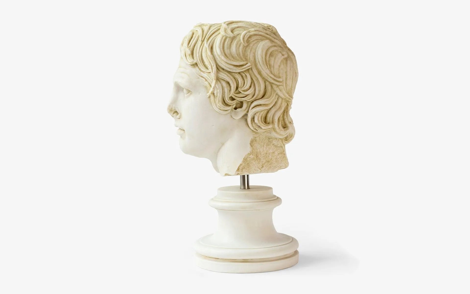 Alexander The Great Bust No: 1 Large - laguglobal
