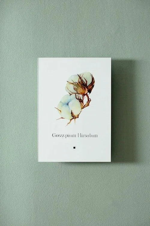 Pamuk (Gossypium Hirsutum) - lagu.shop - Tablo