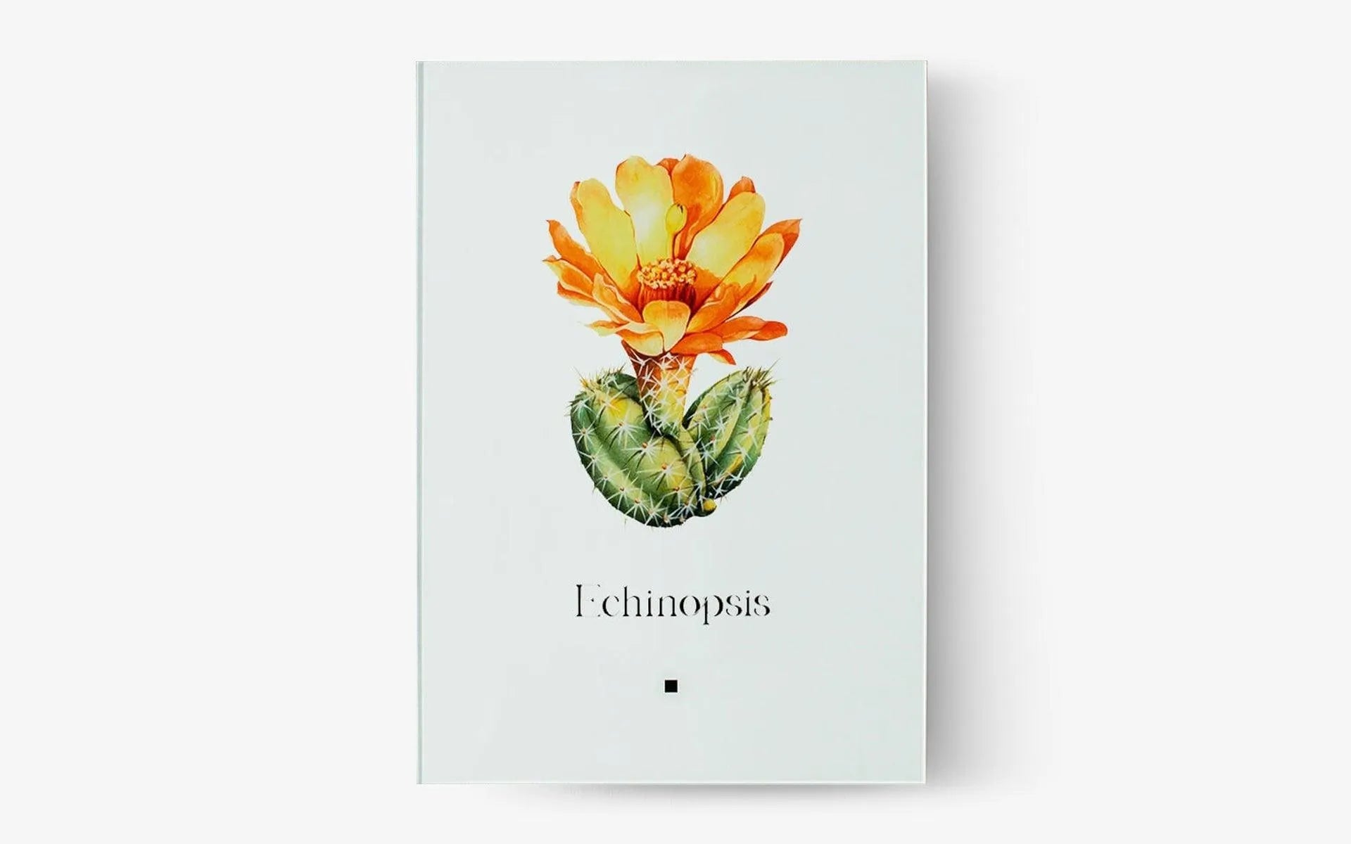 Artbook 6'lı Set - lagu.shop - Resim