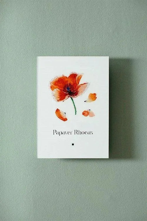 Gelincik (Papaver Rhoes) - lagu.shop - Resim