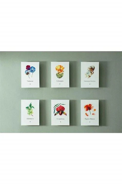 Gelincik (Papaver Rhoes) - lagu.shop - Resim