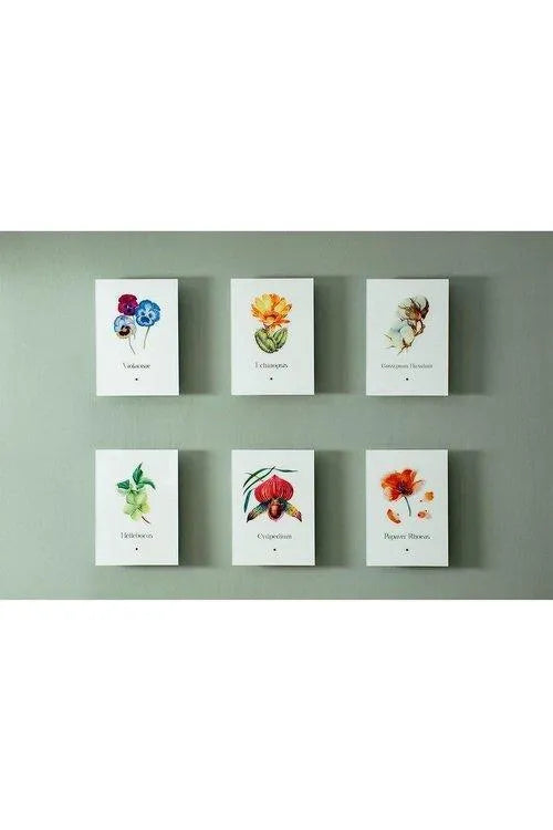 Menekşe (Violaceae) - lagu.shop - Tablo