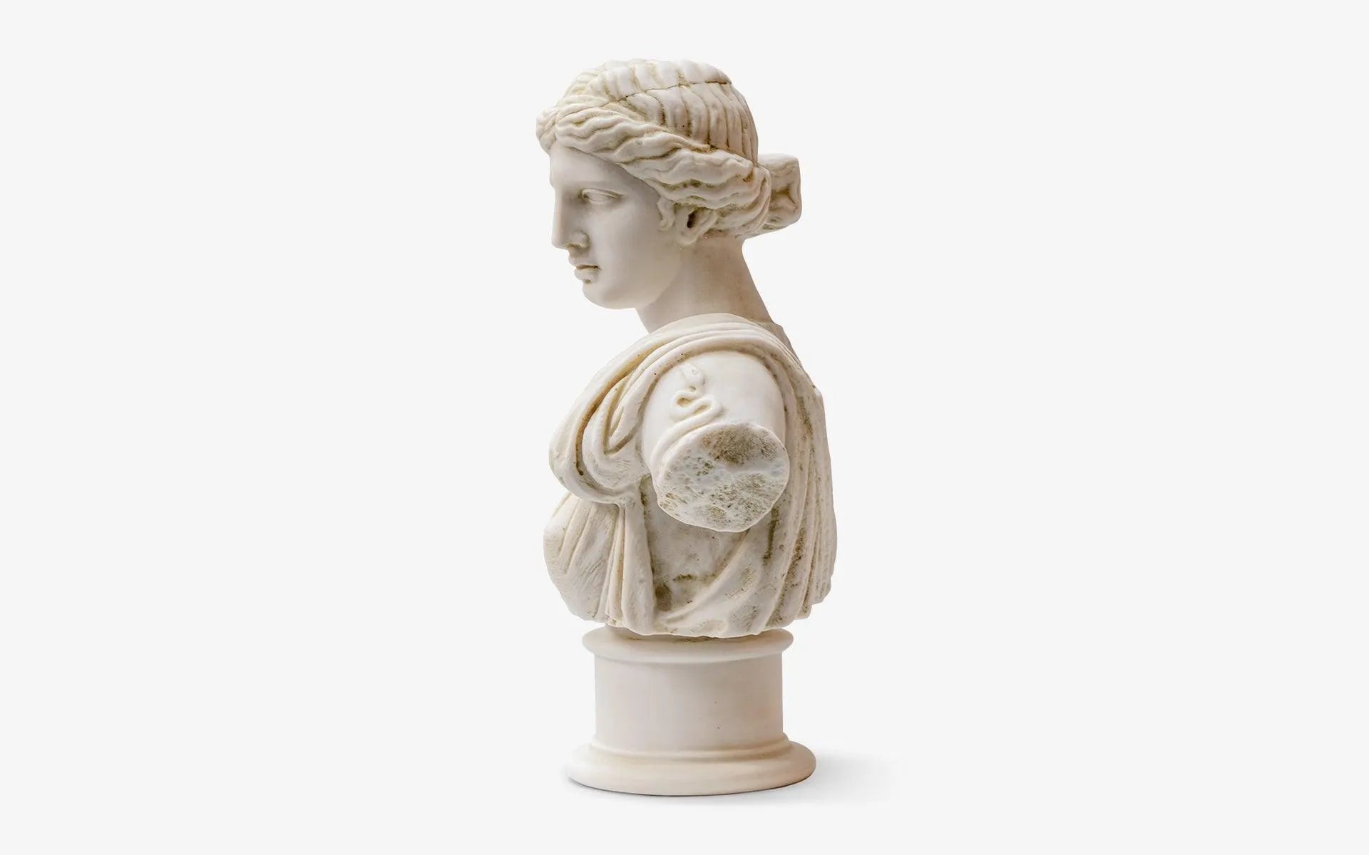 Artemis Bust - laguglobal