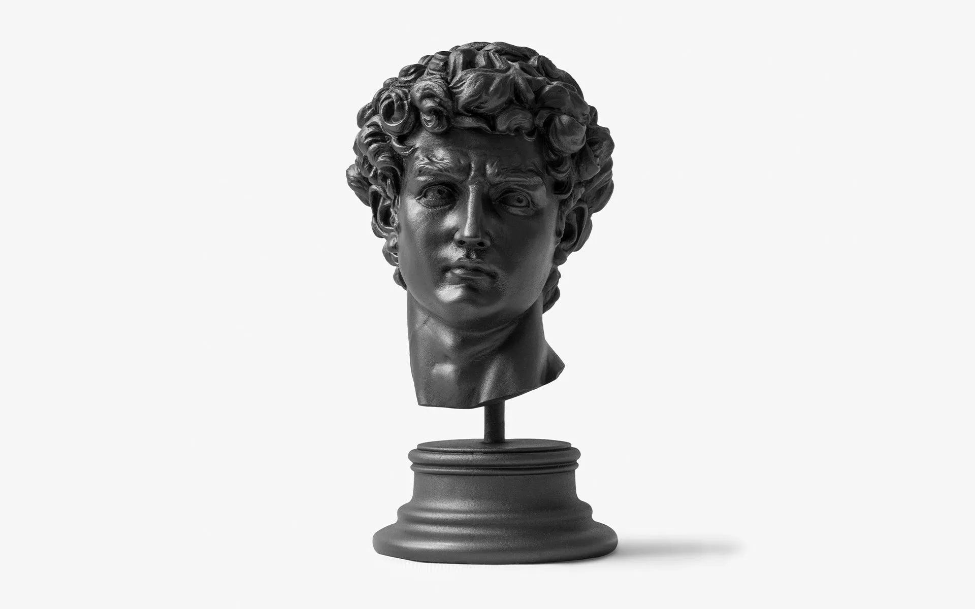 David Bust Black - laguglobal
