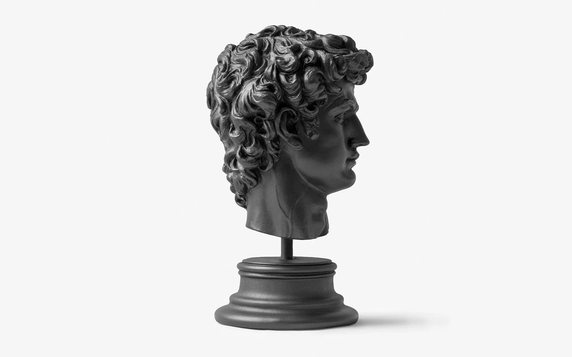 David Bust Black - laguglobal