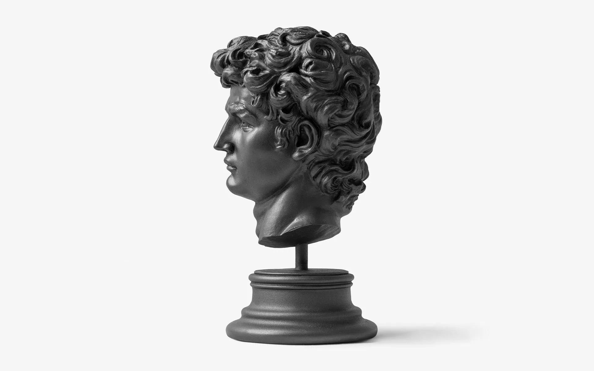 David Bust Black - laguglobal