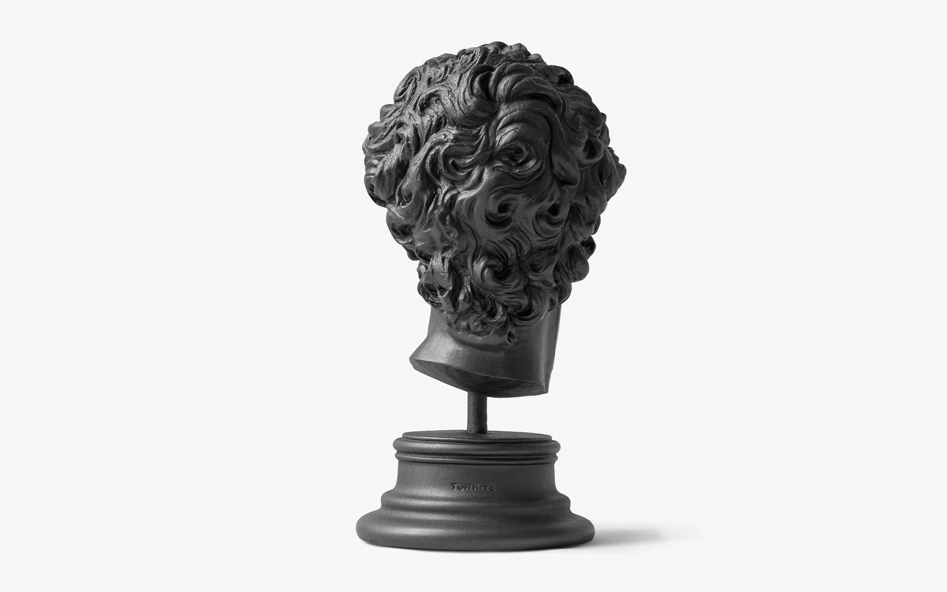 David Bust Black - laguglobal