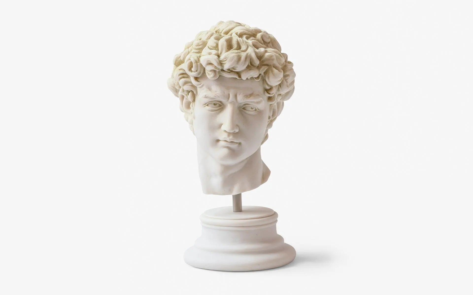 David Bust White - laguglobal