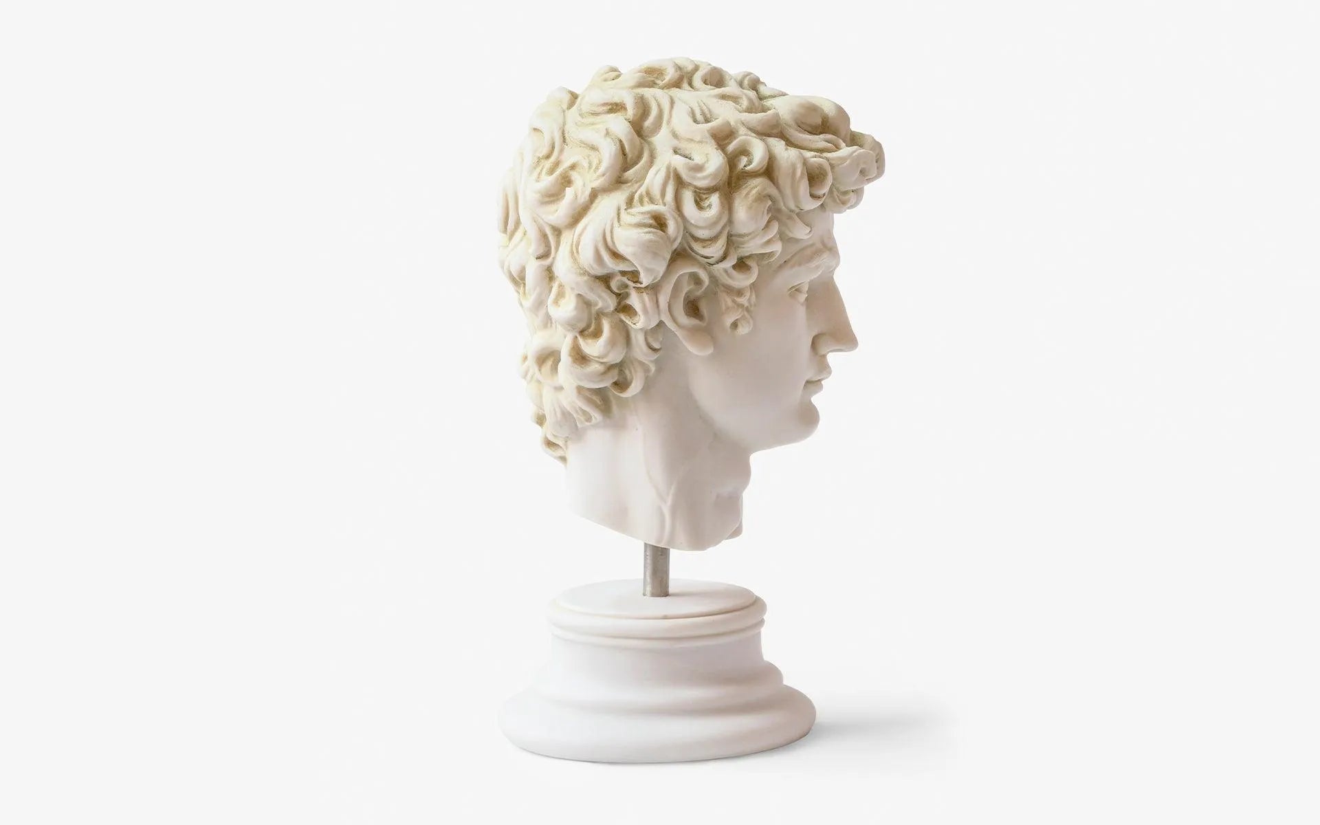 David Bust White - laguglobal