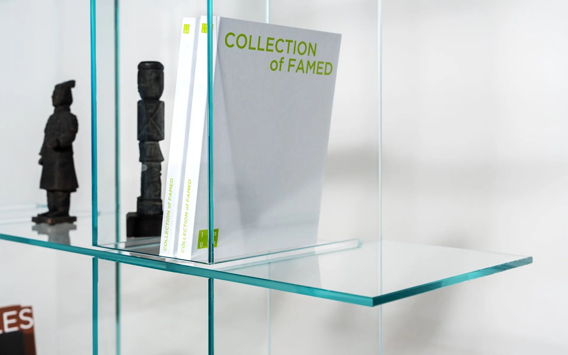 Space Shelf System