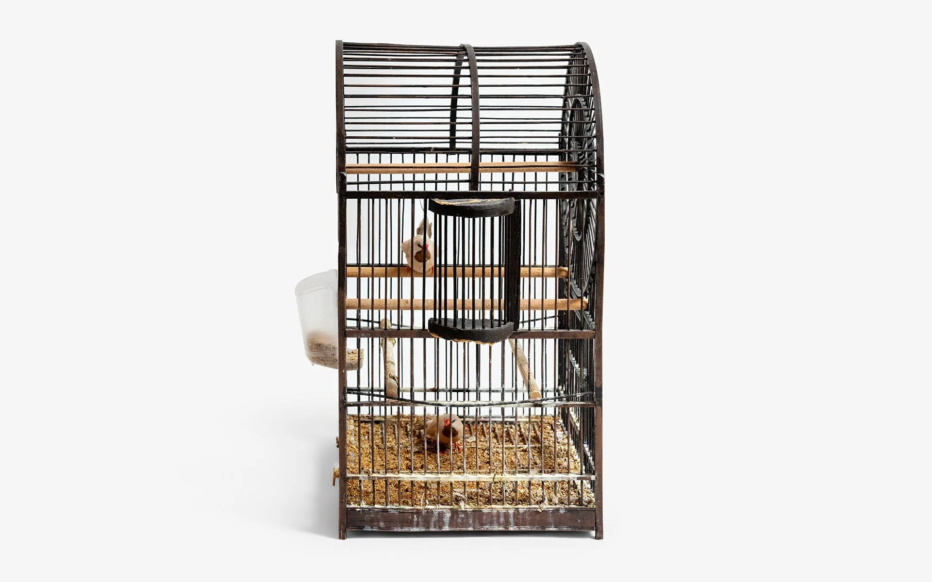 Arched Top Birdcage