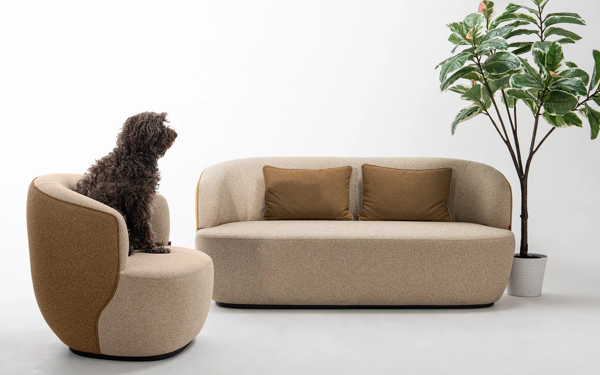 Koji Double Sofa