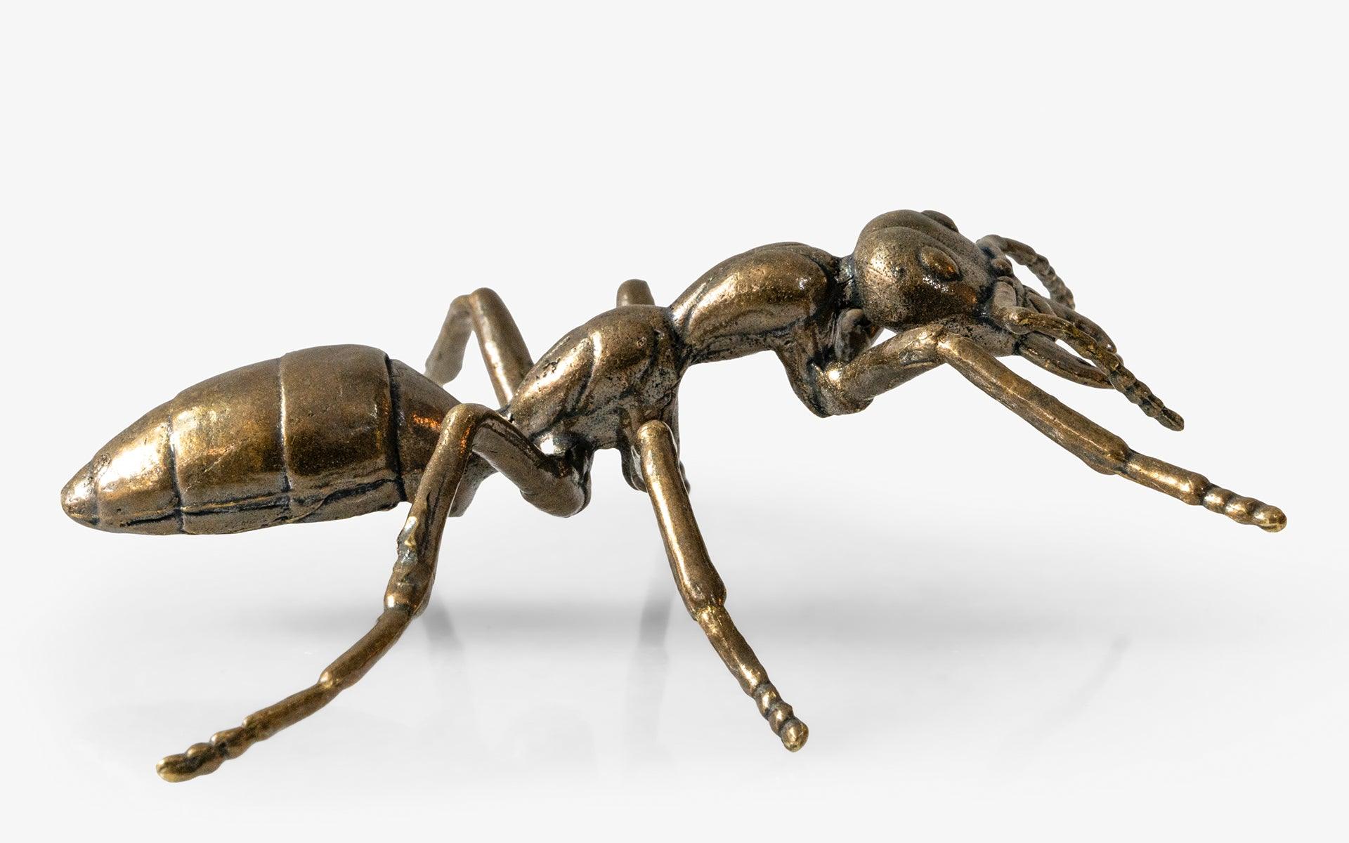 Ancient Ant No: 1 - lagu - Decorative Object