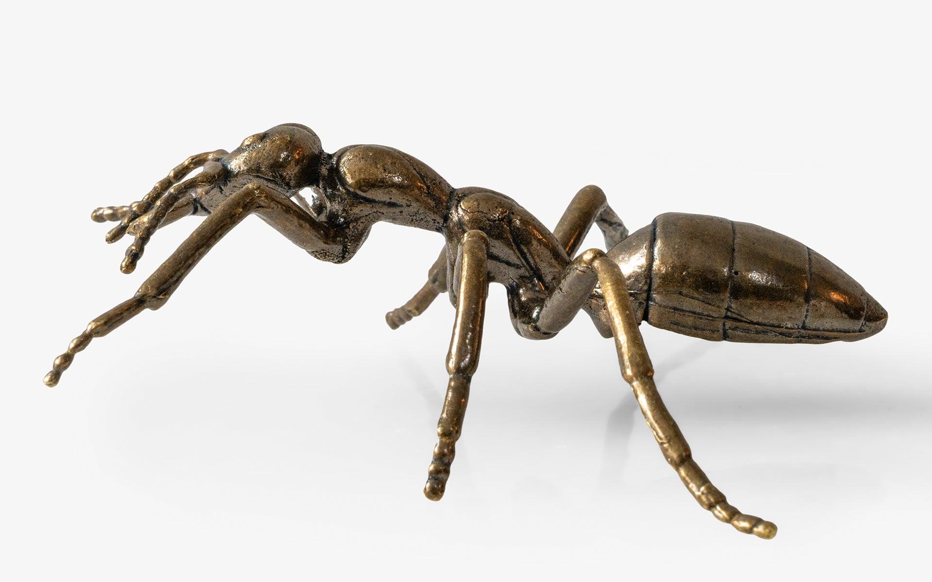 Ancient Ant No: 1 - lagu - Decorative Object