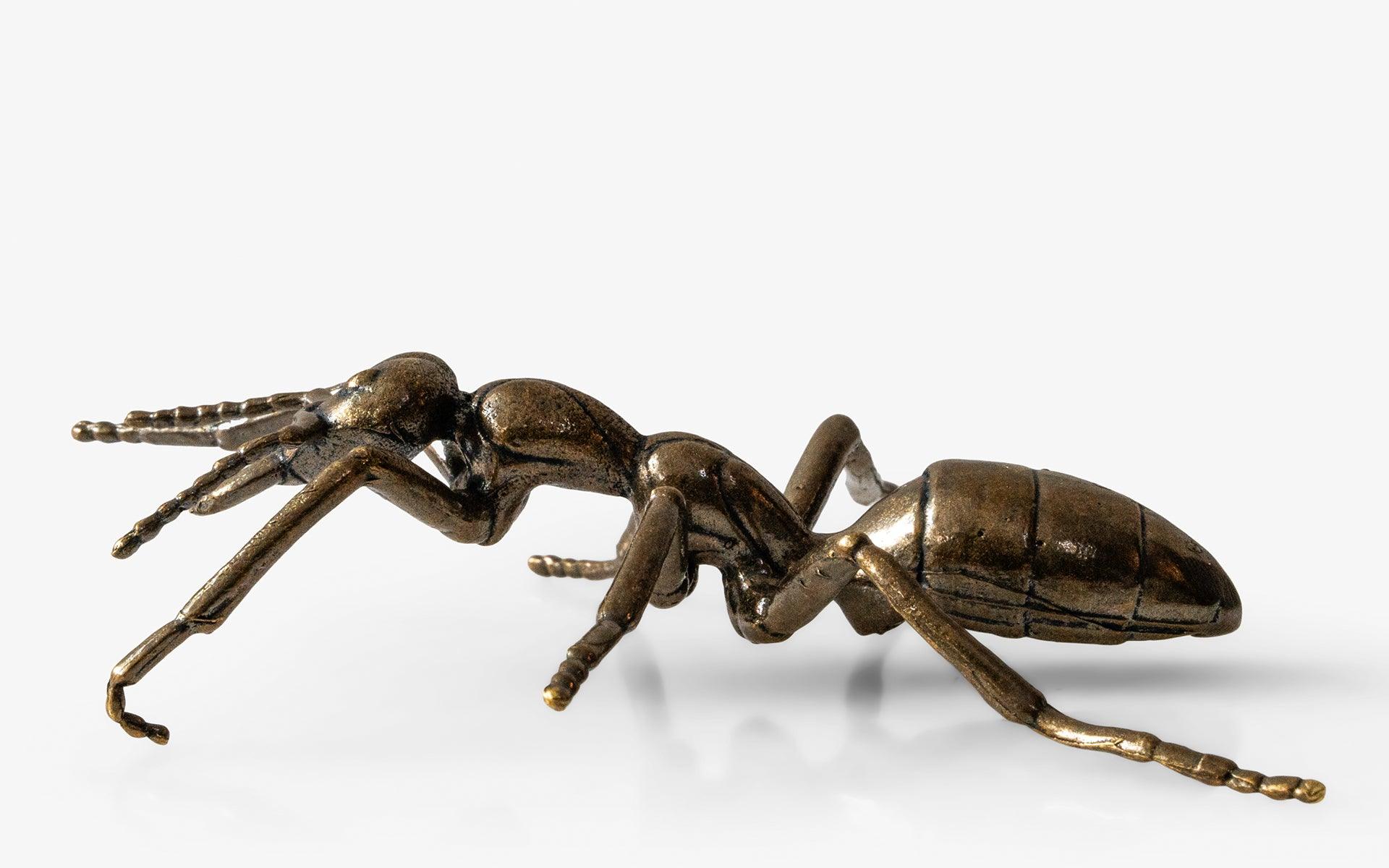 Ancient Ant No: 2 - lagu - Decorative Object