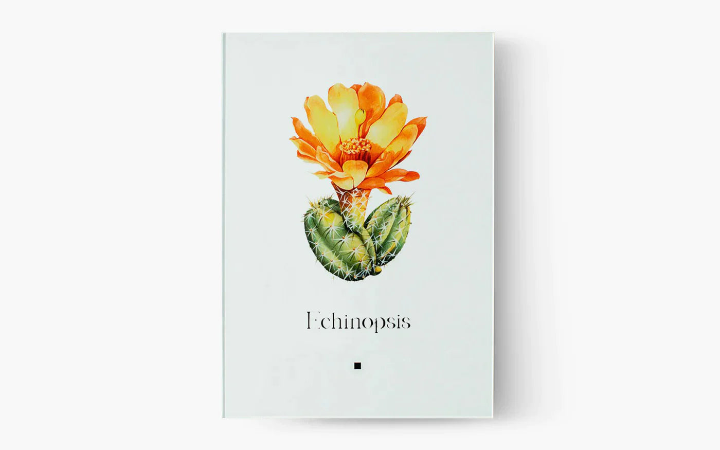 Artbook Cactus (Echinopsis) - lagu - Painting