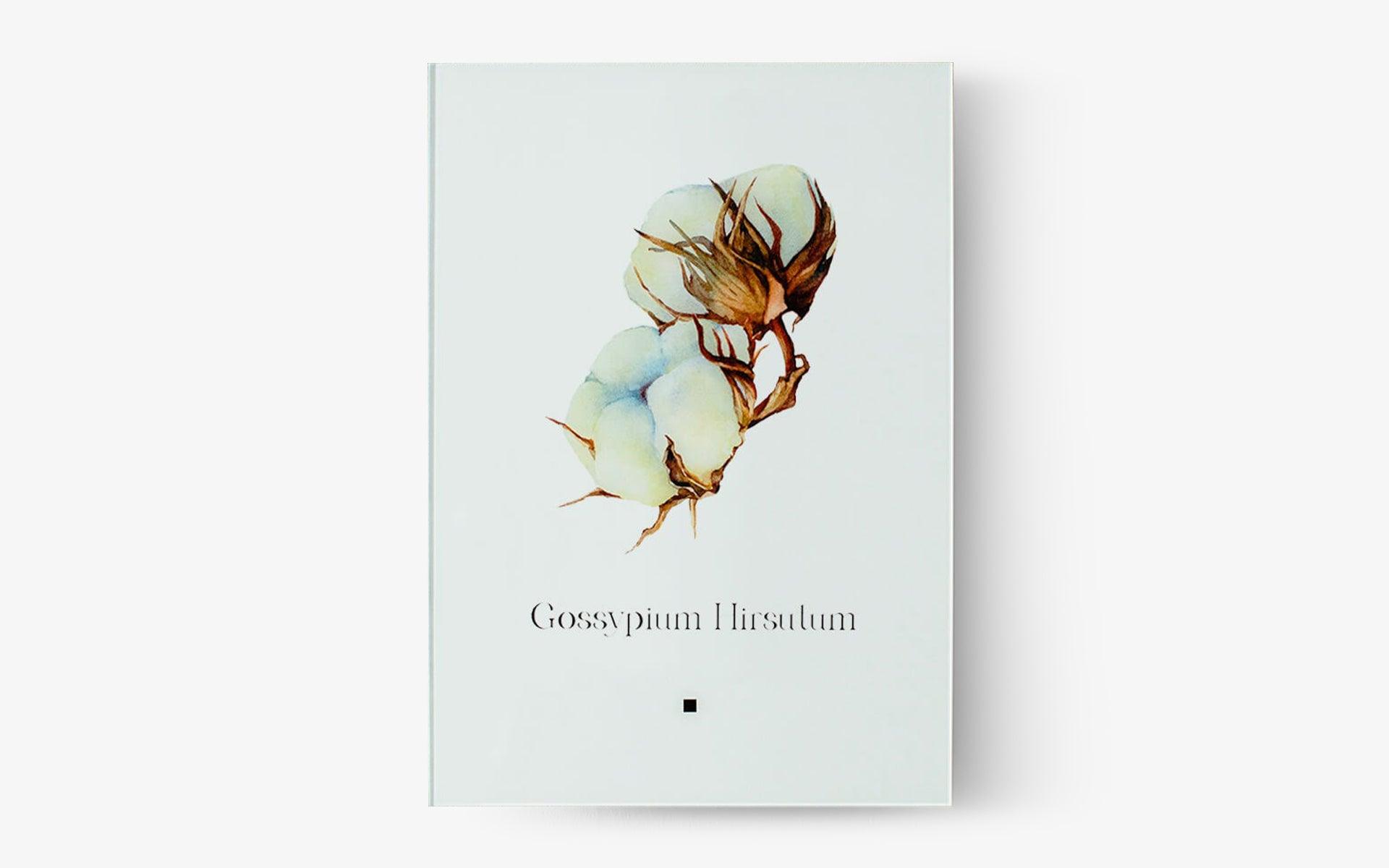 Cotton (Gossypium Hirsutum) - lagu - Painting