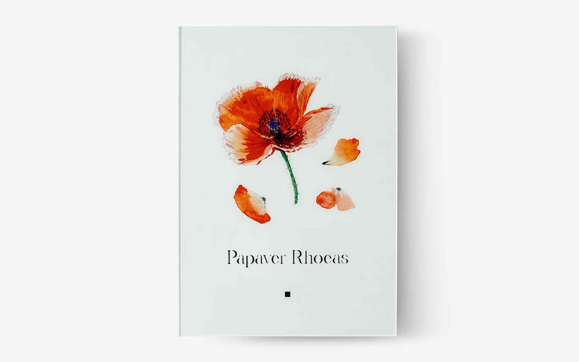 Artbook Poppy (Papaver Rhoes)