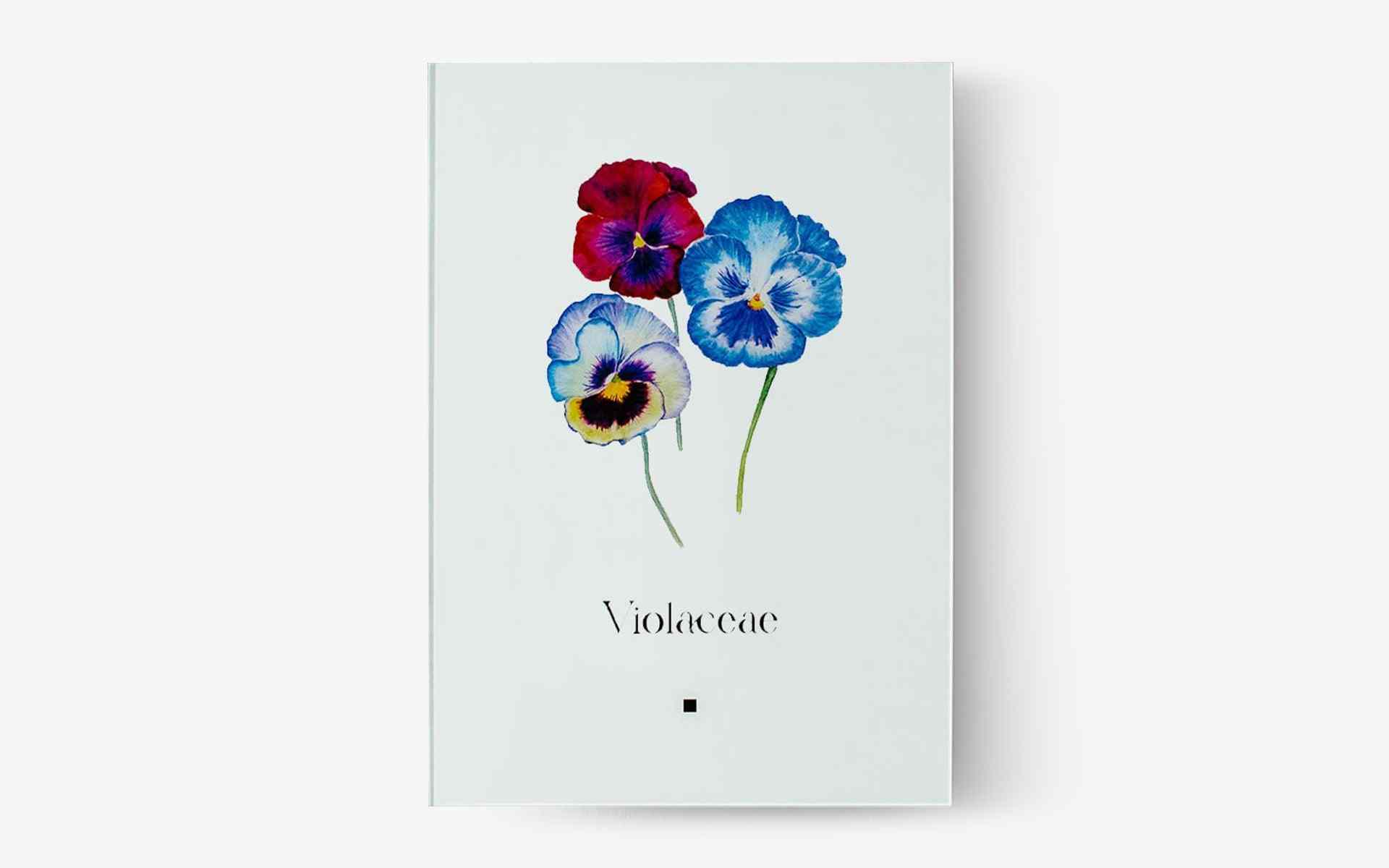 Artbook Violet (Violaceae)