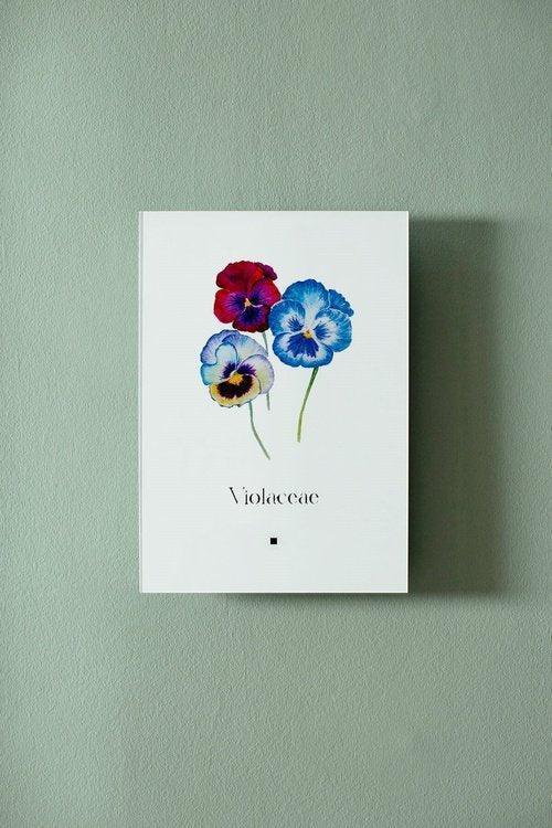 Menekşe (Violaceae) - lagu.shop - Tablo