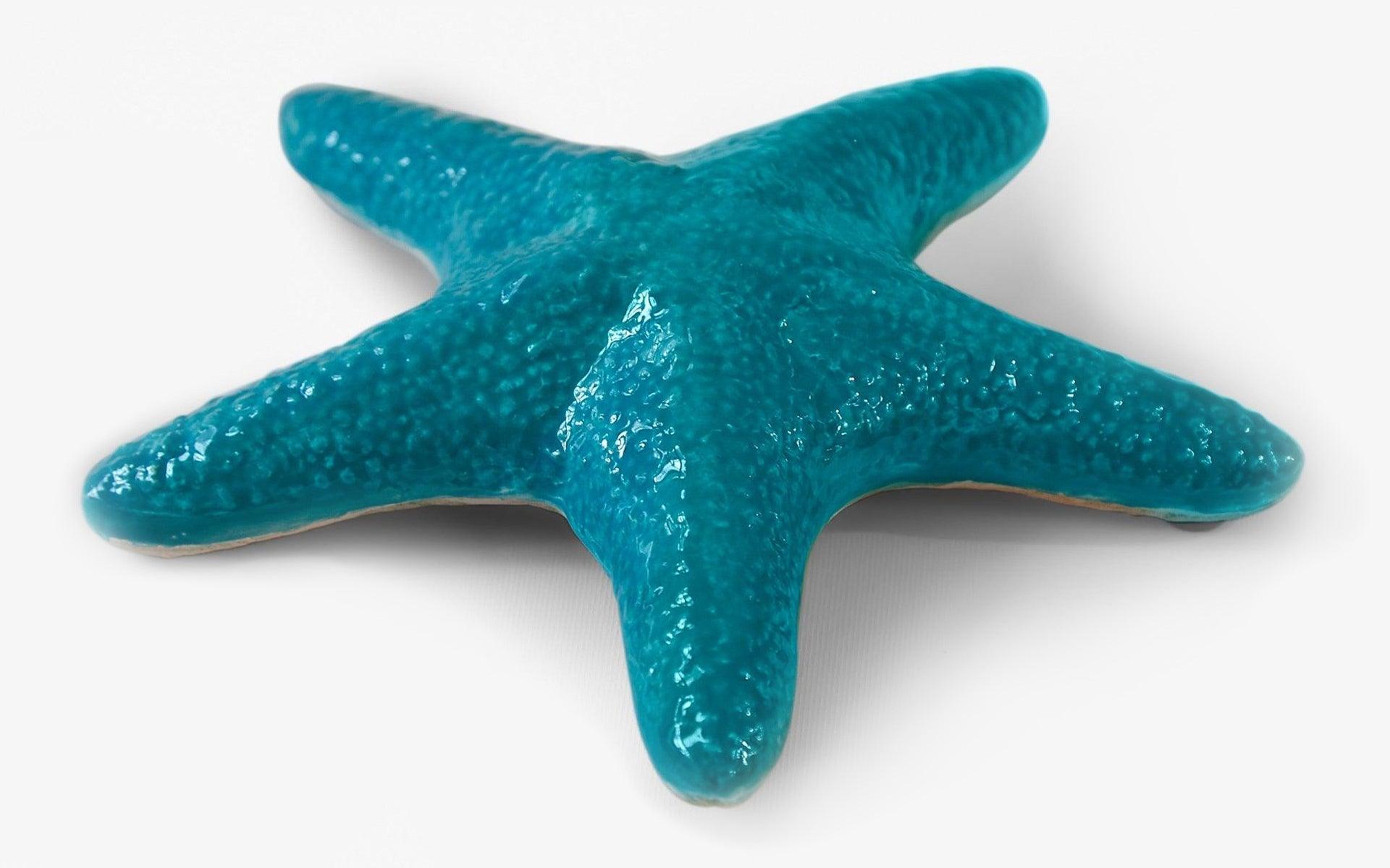 Starfish Blue - laguglobal