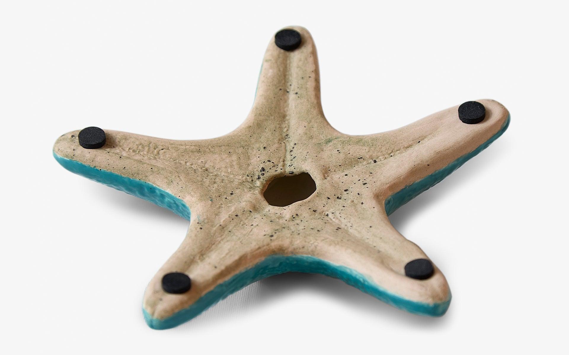 Starfish Blue - laguglobal