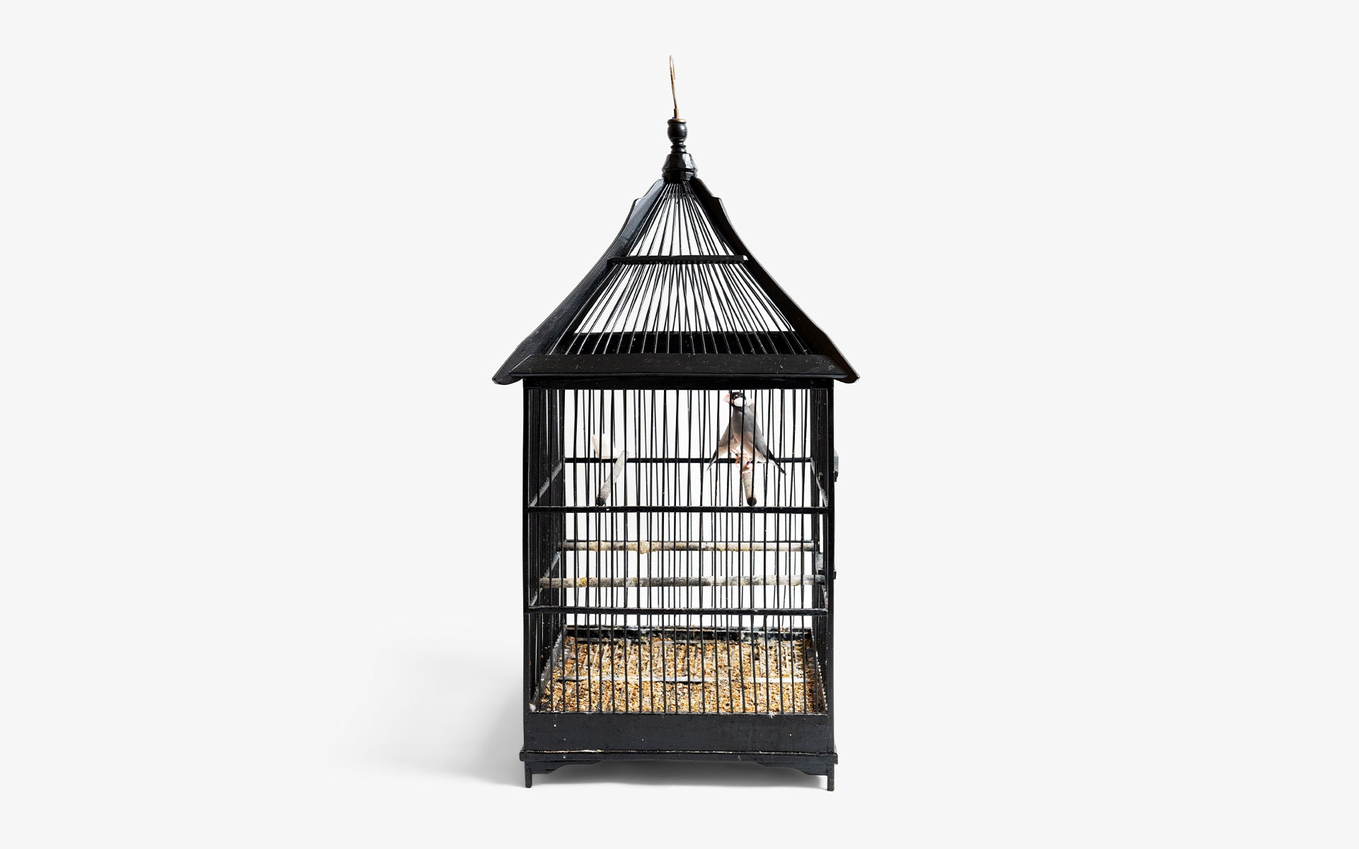 Cradle Roofed Birdcage
