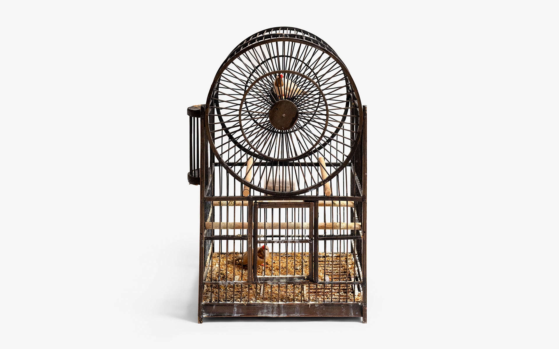 Arched Top Birdcage