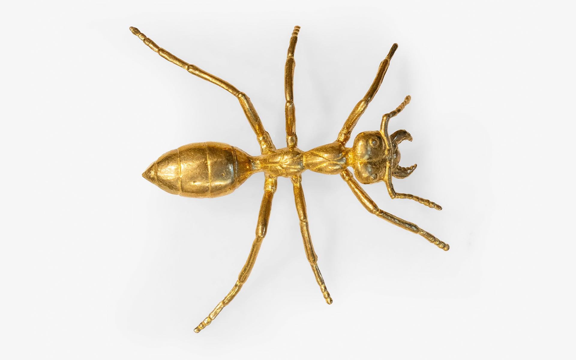 Yellow Ancient Ant - lagu - Decorative Object