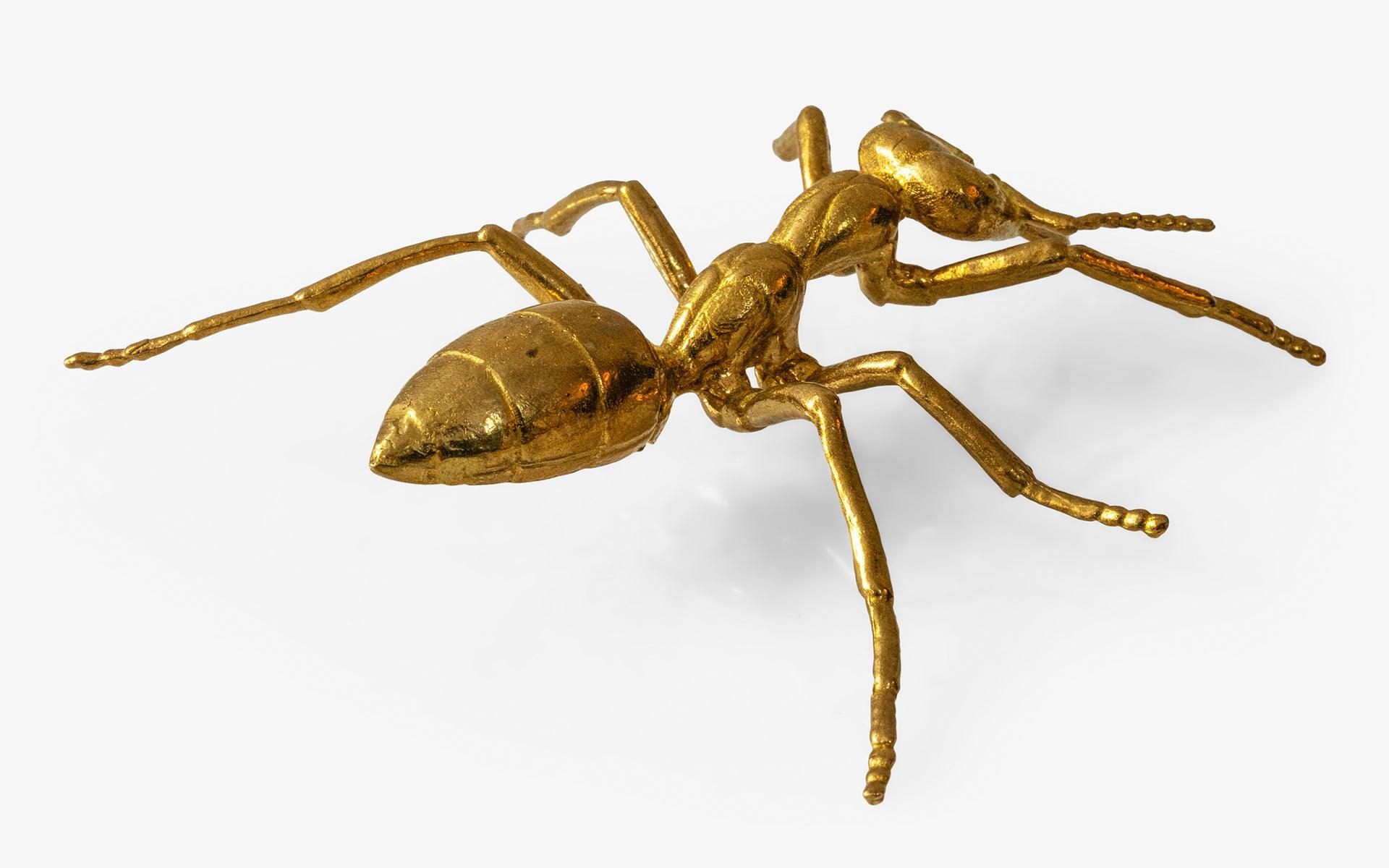 Yellow Ancient Ant - lagu - Decorative Object